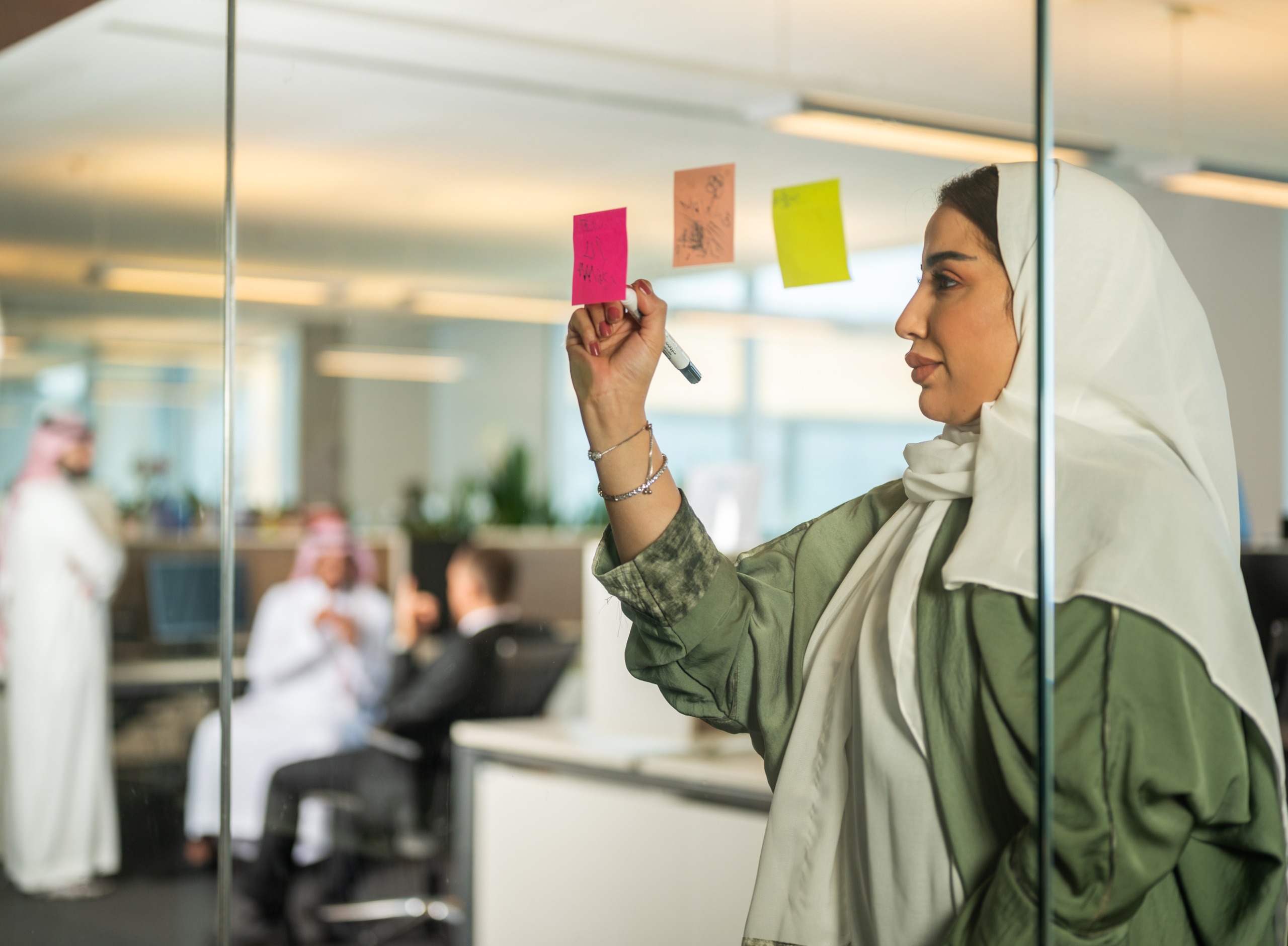 برنامج الهيكلة الاستراتيجية : سيناريو أكسفورد التخطيطي